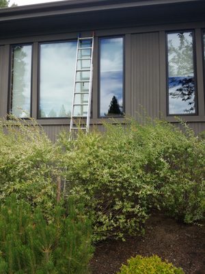 Row of large residential windows being cleaned with a ladder against gray siding