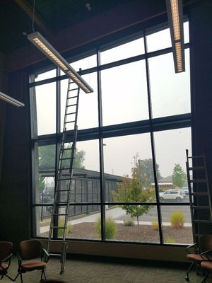Large commercial lobby glass wall cleaned from the interior with extension ladders
